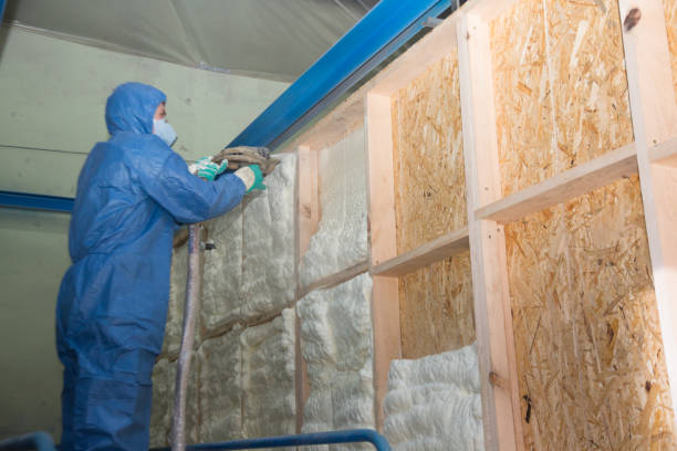 Best Blown-in Insulation  in Mount Vernon, IL